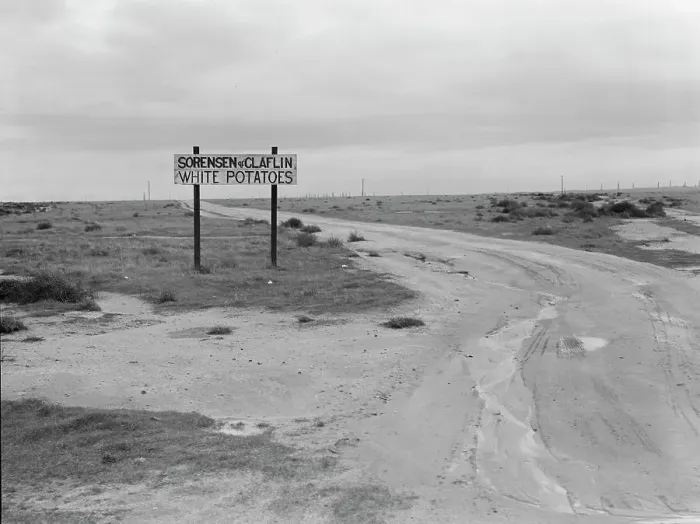 Framed Print : Large-scale agriculture, beside U.S. 99, Kern County, California, 1939. Creator: Dorothea Lange Framed Print : Large-scale agriculture, beside U.S. 99, Kern County, California, 1939. Creator: Dorothea Lange