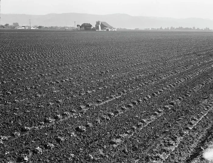 Framed Print : Large scale, commercial agriculture, Salinas Valley, California, 1939. Creator: Dorothea Lange Framed Print : Large scale, commercial agriculture, Salinas Valley, California, 1939. Creator: Dorothea Lange