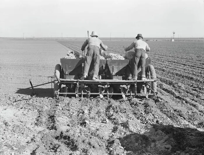 Framed Print : Large-scale, mechanized farming - potato planter, Kern County, California, 1939. Creator: Dorothea Lange Framed Print : Large-scale, mechanized farming - potato planter, Kern County, California, 1939. Creator: Dorothea Lange