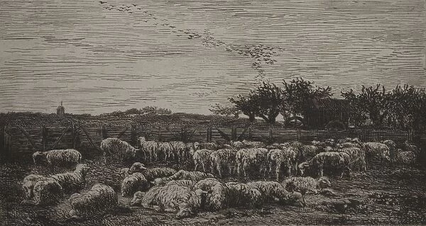 The Large Sheep-Fold, 1860. Creator: Charles Francois Daubigny (French, 1817-1878); Cadart
