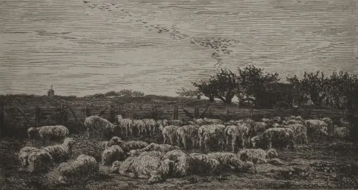 Framed Print : The Large Sheep-Fold, 1860. Creator: Charles Francois Daubigny (French, 1817-1878); Cadart Framed Print : The Large Sheep-Fold, 1860. Creator: Charles Francois Daubigny (French, 1817-1878); Cadart