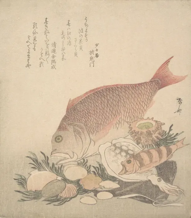 Framed Print : Large and Small Fish Swimming Among Shells and Moss at the Bottom of the Sea, ca. 1830 Framed Print : Large and Small Fish Swimming Among Shells and Moss at the Bottom of the Sea, ca. 1830