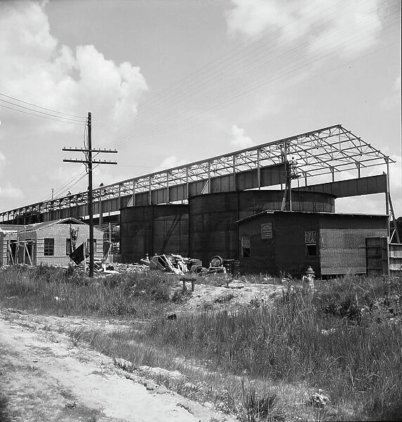 Large turpentine...plant near Valdosta, Georgia, 1937. Creator: Dorothea Lange