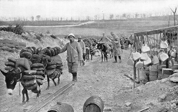 A L'arriere de Verdun; D'utiles auxiliaires a quatre pattes: les petits anes... 1916 (1924) Creator: Unknown