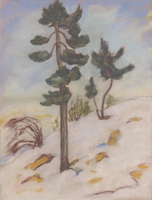 Framed Print : Late autumn in the High Tatras, 1925-1930. Creator: Zolo Palugyay Framed Print : Late autumn in the High Tatras, 1925-1930. Creator: Zolo Palugyay