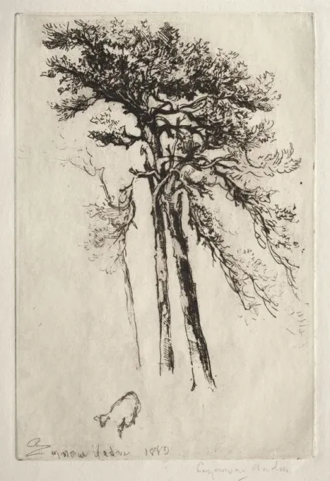 Framed Print : The Latest Tree, 1882. Creator: Francis Seymour Haden (British, 1818-1910) Framed Print : The Latest Tree, 1882. Creator: Francis Seymour Haden (British, 1818-1910)