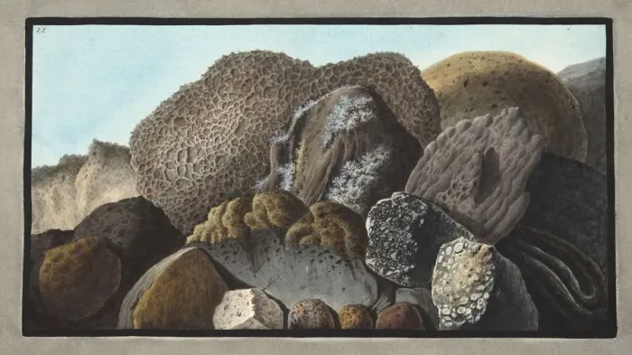 Framed Print : Lava, Scoria, and Pumice stones and of Mount Versuvius, 1776 Framed Print : Lava, Scoria, and Pumice stones and of Mount Versuvius, 1776