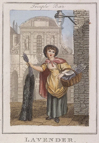 Lavender, Cries of London, 1804