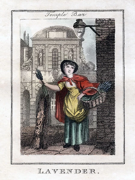 Lavender, Temple Bar, London, 1805