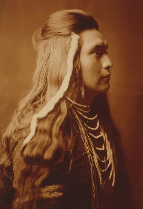 Framed Print : Lawyer-Nez Percé, c1905. Creator: Edward Sheriff Curtis Framed Print : Lawyer-Nez Percé, c1905. Creator: Edward Sheriff Curtis
