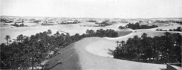 'Le bas Sahara-Les Oasis, Oued Souf. La palmeraie; Afrique du nord, 1914. Creator: Goubault