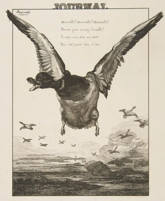 Framed Print : Le Canard, 1856. Creator: Felix Bracquemond Framed Print : Le Canard, 1856. Creator: Felix Bracquemond
