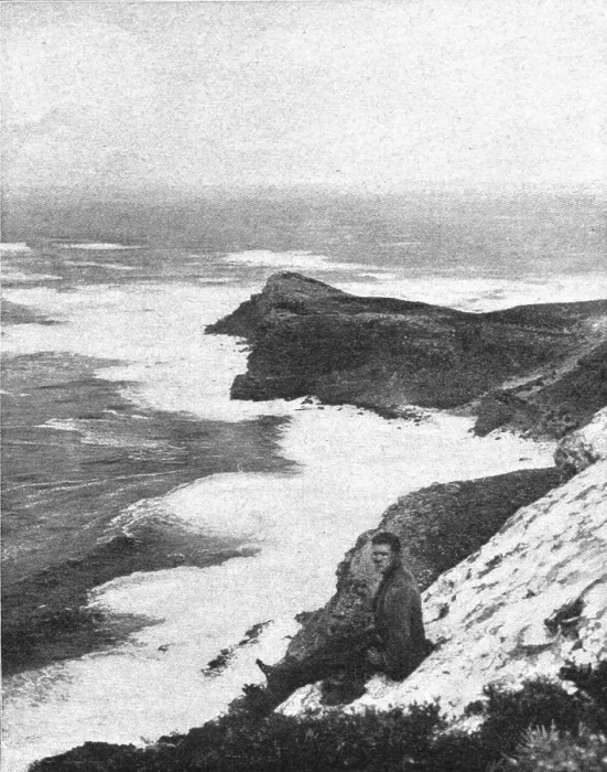 Framed Print : Le Cap de Bonne Esperance; Afrique Australe, 1914. Creator: Unknown Framed Print : Le Cap de Bonne Esperance; Afrique Australe, 1914. Creator: Unknown