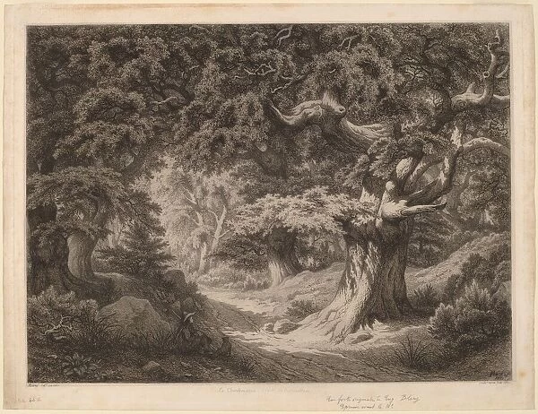 Le Charlemagne (forêt de fontainebleau), 1861. Creator: Eugene Blery