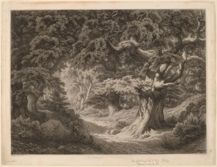 Framed Print : Le Charlemagne (foret de fontainebleau), 1861. Creator: Eugene Blery Framed Print : Le Charlemagne (foret de fontainebleau), 1861. Creator: Eugene Blery