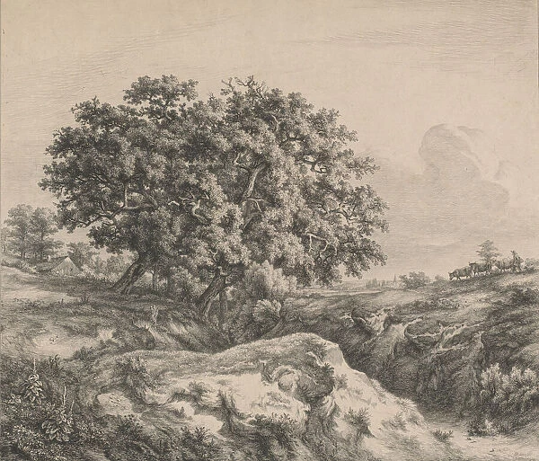 Le chene au ravin (Oak Tree by a Ravine), 1845. Creator: Eugene Blery