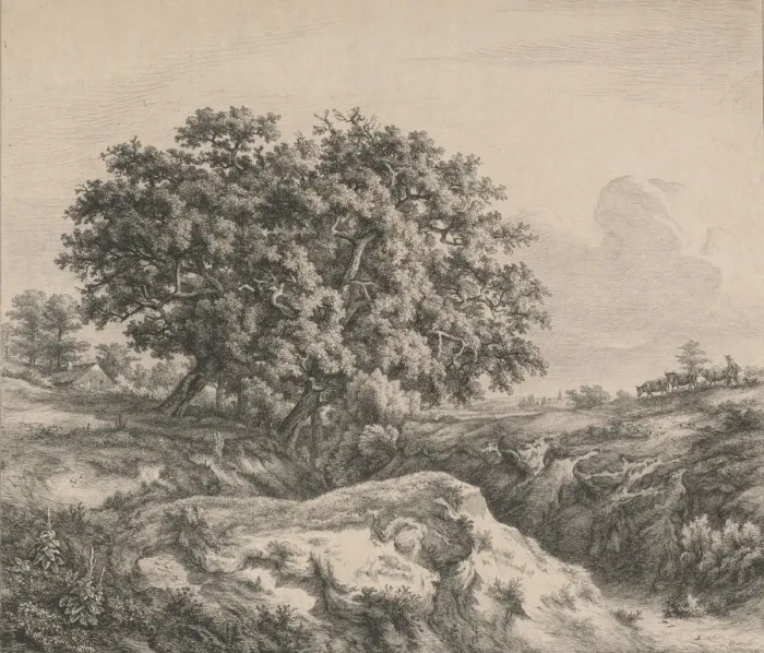 Framed Print : Le chene au ravin (Oak Tree by a Ravine), 1845. Creator: Eugene Blery Framed Print : Le chene au ravin (Oak Tree by a Ravine), 1845. Creator: Eugene Blery