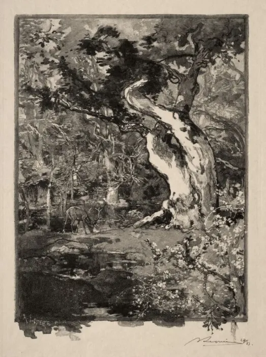 Framed Print : Le Clovis, Plateau de Bellecroix, 1890. Creator: Auguste Louis Lepere (French, 1849-1918) Framed Print : Le Clovis, Plateau de Bellecroix, 1890. Creator: Auguste Louis Lepere (French, 1849-1918)