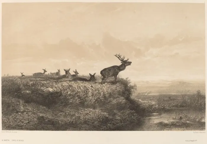 Framed Print : Le Matin. Creator: Karl Bodmer Framed Print : Le Matin. Creator: Karl Bodmer
