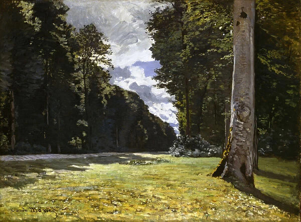Le Pavé de Chailly dans la forêt de Fontainebleau