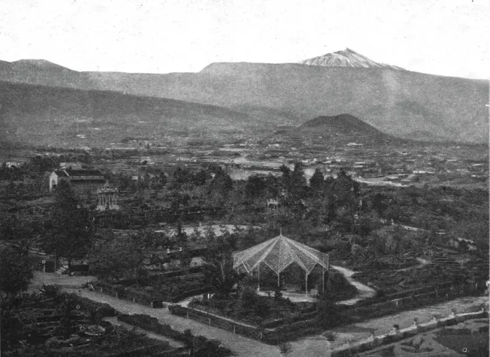 Framed Print : Le Pic de Tenerife; L'Ouest Africain, 1914. Creator: Champagne Framed Print : Le Pic de Tenerife; L'Ouest Africain, 1914. Creator: Champagne