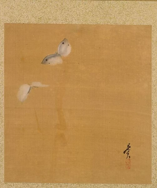 Leaf from Album of Seasonal Themes: Maple Leaves and Feather, 1847. Creator: Shibata Zeshin