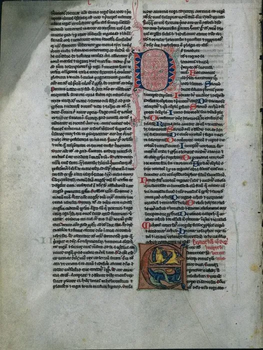 Framed Print : Leaf from a Bible: Initial E: Entwined Lions and Serpents (1 of 2 Excised Leaves), c Framed Print : Leaf from a Bible: Initial E: Entwined Lions and Serpents (1 of 2 Excised Leaves), c