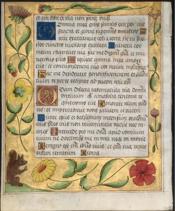 Framed Print : Leaf from a Psalter and Prayerbook: Ornamental Border with Flowers and Squirrel (verso), c Framed Print : Leaf from a Psalter and Prayerbook: Ornamental Border with Flowers and Squirrel (verso), c