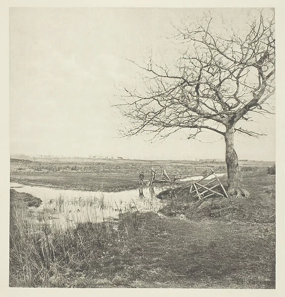Leafless March (Suffolk), 1878  /  87, printed 1888. Creator: Peter Henry Emerson
