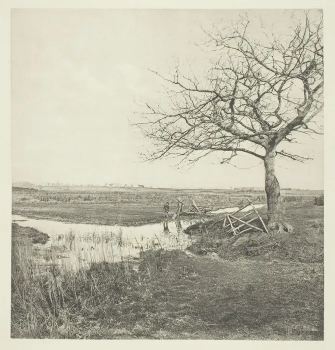Framed Print : Leafless March (Suffolk), 1878 / 87, printed 1888. Creator: Peter Henry Emerson Framed Print : Leafless March (Suffolk), 1878 / 87, printed 1888. Creator: Peter Henry Emerson