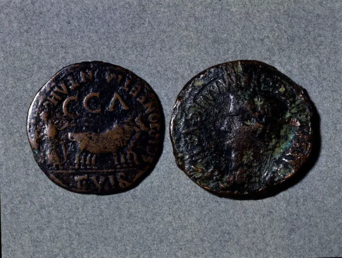 Framed Print : At left a coin with the legend Scipione er Montano II vir CCA, at right the front Framed Print : At left a coin with the legend Scipione er Montano II vir CCA, at right the front
