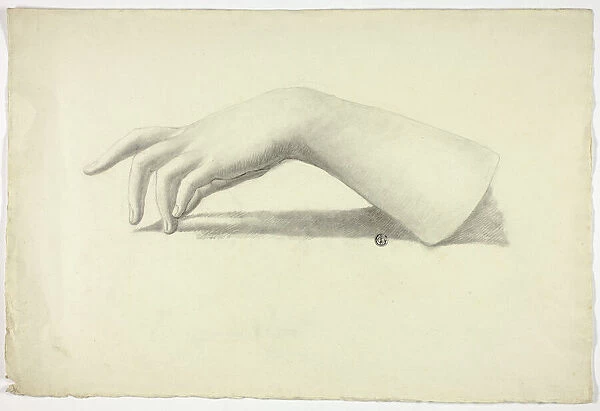 Left Forearm and Hand, n. d. Creator: Elizabeth Murray