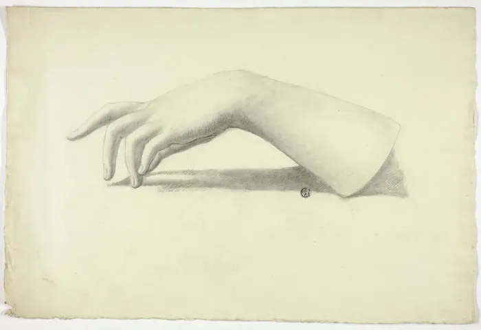 Framed Print : Left Forearm and Hand, n. d. Creator: Elizabeth Murray Framed Print : Left Forearm and Hand, n. d. Creator: Elizabeth Murray
