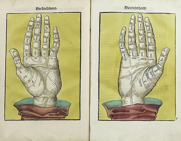 Left and right hand, 1490. Creator: Unknown