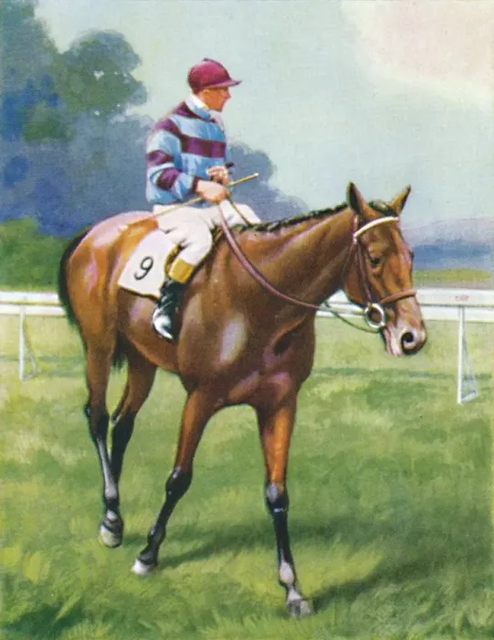 Framed Print : Legend of France, Jockey: A. Richardson, 1939 Framed Print : Legend of France, Jockey: A. Richardson, 1939