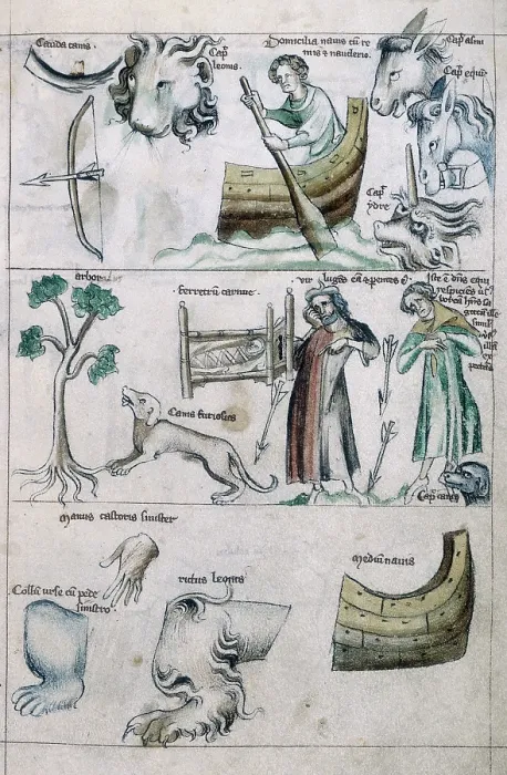 Framed Print : Leo; zodiac treatise, 14th century. Creator: Unknown Framed Print : Leo; zodiac treatise, 14th century. Creator: Unknown