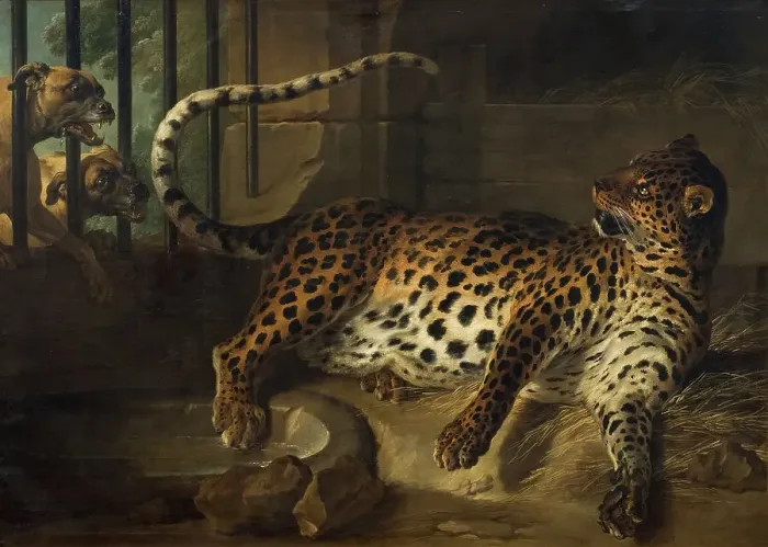 Framed Print : Leopard in a Cage confronted by two Mastiffs, 1739. Creator: Jean-Baptiste Oudry Framed Print : Leopard in a Cage confronted by two Mastiffs, 1739. Creator: Jean-Baptiste Oudry