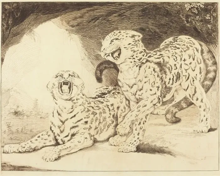 Framed Print : Leopards, 1798. Creator: Samuel William Reynolds Framed Print : Leopards, 1798. Creator: Samuel William Reynolds
