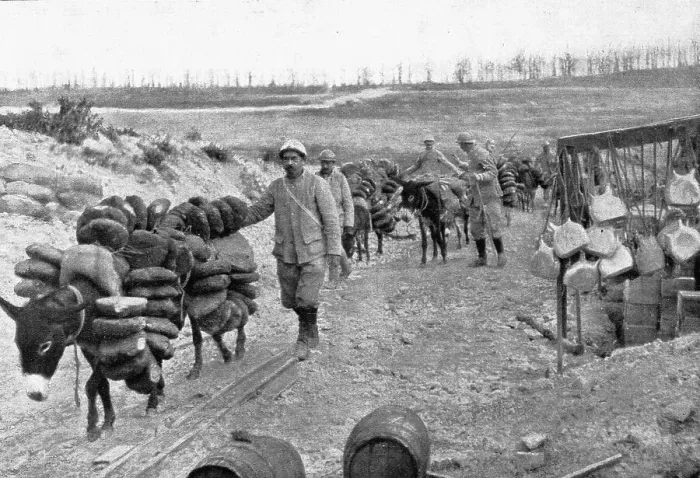 Framed Print : Les Bourriquots de ravitaillement; dans le region de Verdun, les bourriquots, conduits par... 1916 Creator: Unknown Framed Print : Les Bourriquots de ravitaillement; dans le region de Verdun, les bourriquots, conduits par... 1916 Creator: Unknown