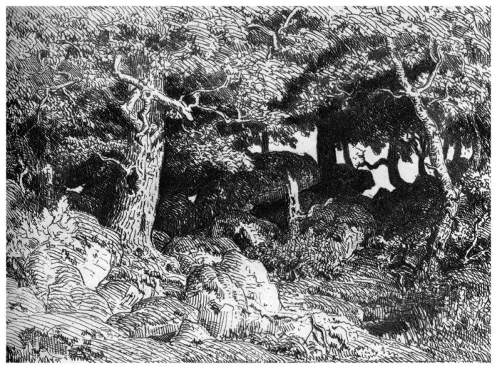 Framed Print : Les Chenes de Roche, c1832- 1860, (1924). Artist: Theodore Rousseau Framed Print : Les Chenes de Roche, c1832- 1860, (1924). Artist: Theodore Rousseau