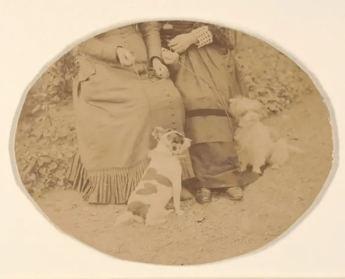 Framed Print : Les Chiens, 1860s. Creator: Pierre-Louis Pierson Framed Print : Les Chiens, 1860s. Creator: Pierre-Louis Pierson