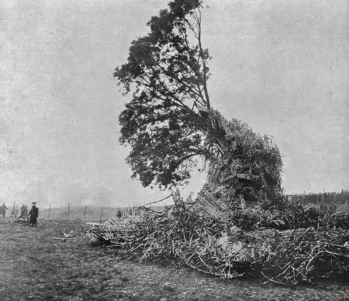 Framed Print : Les deux derniers zeppelins abattus par les Anglais; Debris du L31 accroches a un chene... 1916. Creator: Unknown Framed Print : Les deux derniers zeppelins abattus par les Anglais; Debris du L31 accroches a un chene... 1916. Creator: Unknown