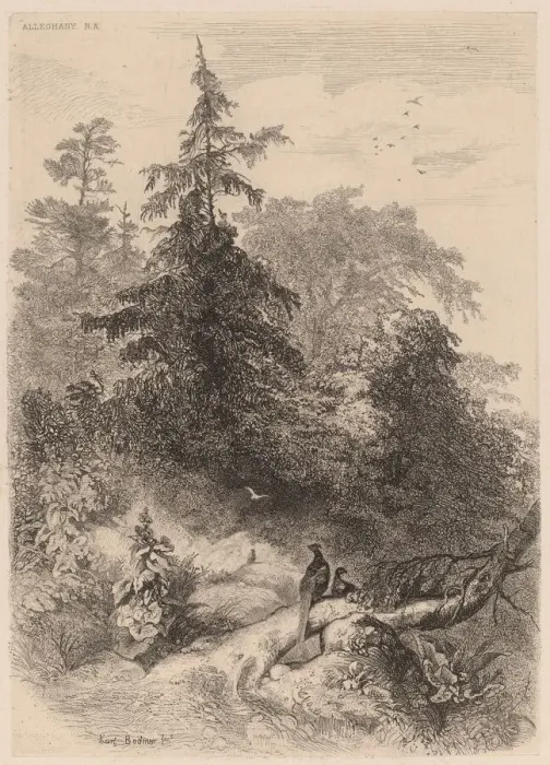 Framed Print : Les Faisans. Creator: Karl Bodmer Framed Print : Les Faisans. Creator: Karl Bodmer