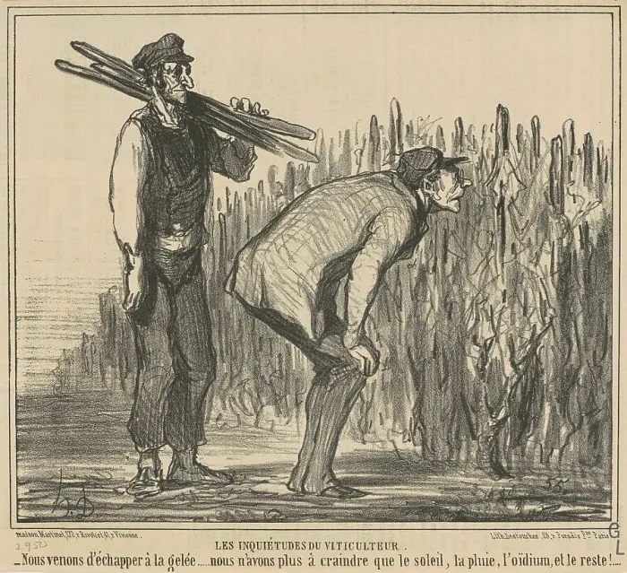 Framed Print : Les inqiétudes du viticulteur, 19th century. Creator: Honore Daumier Framed Print : Les inqiétudes du viticulteur, 19th century. Creator: Honore Daumier