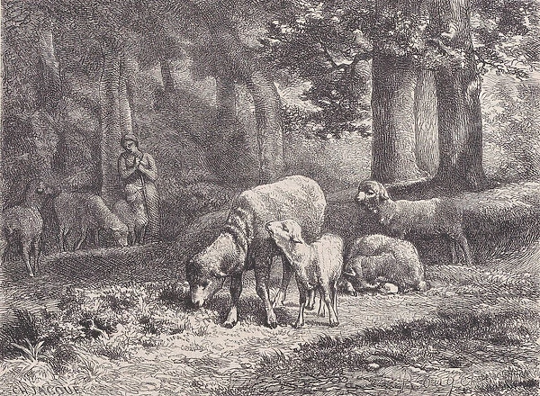 Les Moutons;from Magasin Pittoresque, 1862. Creator: Francois Rouget