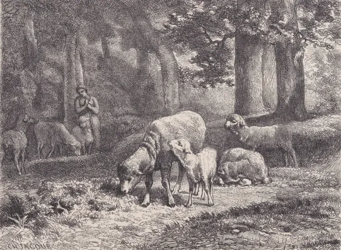 Framed Print : Les Moutons;from Magasin Pittoresque, 1862. Creator: Francois Rouget Framed Print : Les Moutons;from Magasin Pittoresque, 1862. Creator: Francois Rouget