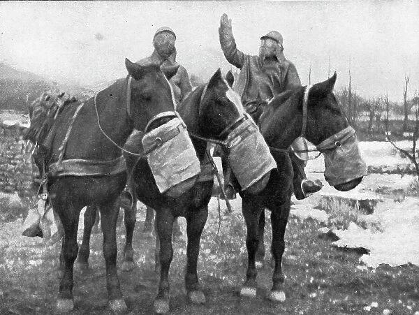 Les precautions contre les gaz; Les chevaux ont aussi leur appareil special, 1917. Creator: Unknown