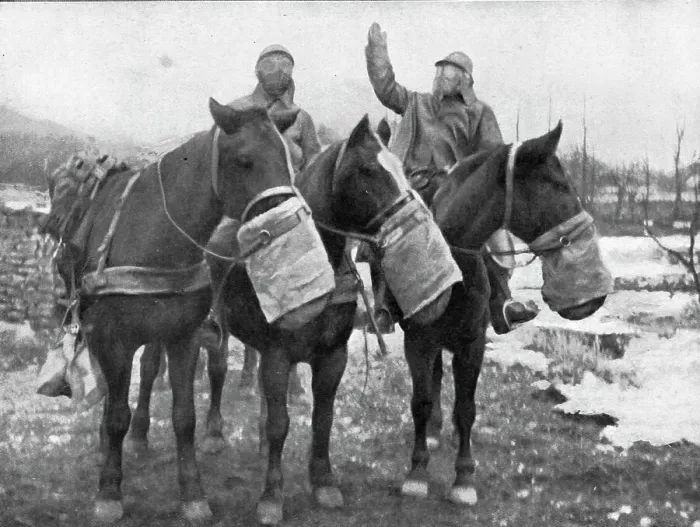 Framed Print : Les precautions contre les gaz; Les chevaux ont aussi leur appareil special, 1917. Creator: Unknown Framed Print : Les precautions contre les gaz; Les chevaux ont aussi leur appareil special, 1917. Creator: Unknown