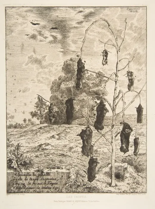 Framed Print : Les Taupes, 1854. Creator: Felix Bracquemond Framed Print : Les Taupes, 1854. Creator: Felix Bracquemond
