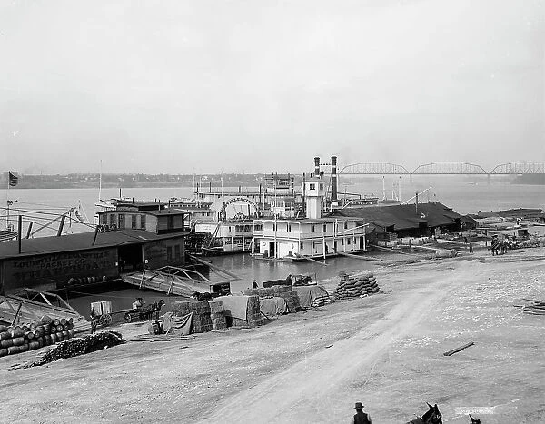 The Levee, Louisville, Ky. c.between 1900 and 1910. Creator: Unknown